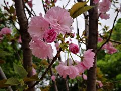 -观澜湖生态运动公社