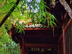 -棠湖公园
