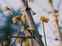 -钱王祠