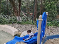 -杭州少年儿童公园