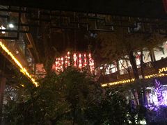 -钦善斋(武侯祠店)
