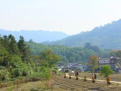 -塔川景区