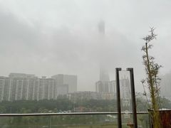 -小茶闲舍·观景商务茶馆(广州塔店)
