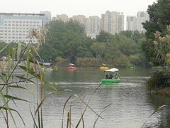 -青枫公园