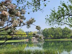 -野蔓果·山野菜(西湖景区·龙井茶田店)
