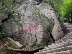 -王顺山国家森林公园