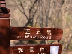 景点-大连植物园