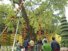 -无锡惠山寺