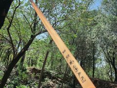 -北京鹫峰国家森林公园