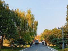-洋湖国家湿地公园