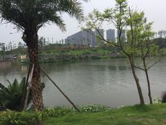 -枫香湖儿童公园