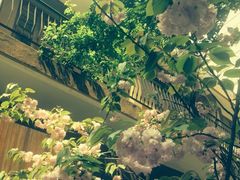 iphone_upload_pic-嘉善老市
