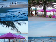 -巨鹏飞梦幻海岸