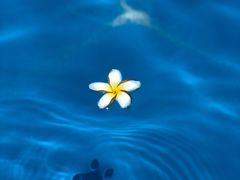 -美的鹭湖探索王国