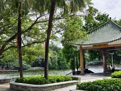 -荔湾湖公园