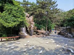 -燕塞湖鸟语林景区