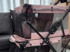 -谐和益家动物医院·免疫绝育·血液透析·宠保定点医院(高新伊藤分院)