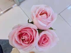 -万宝财富商业广场