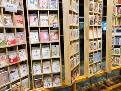 -猫的天空之城概念书店(束河店)