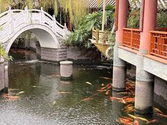 -香麒园·过桥米线·南湖雅宴