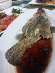 -伊莎贝拉婚礼庄园(顾村店)
