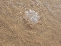 -那香海钻石沙滩浴场