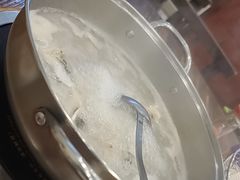 -正能量脆肉鲩火锅