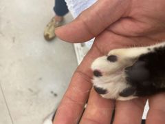 -comecome来吧宠物(奥克斯中心店)