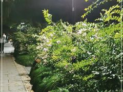 -柳莺湖上·湖景餐厅·江南菜(西湖店)