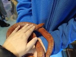 -酷嗒动物文化乐园(cutezoo西溪乐天城店)