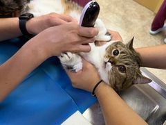-美联众合动物医院·24h转诊中心