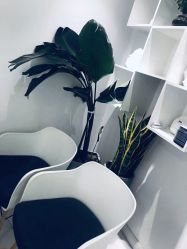 -紫御国际抗衰ZOE ANTI AGING