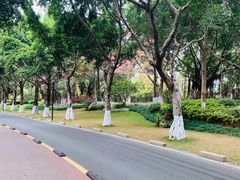 -五缘湾湿地公园