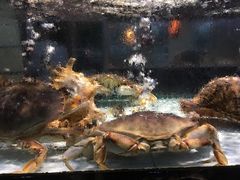 -天鹰观渔(梦园店)