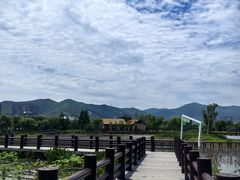 -长兴太湖图影湿地文化园