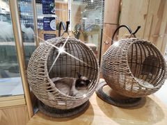 -藏猫猫咖啡主题馆(中央大道店)