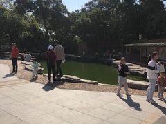 -容州古城