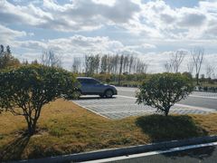 -盐城丹顶鹤湿地生态旅游区