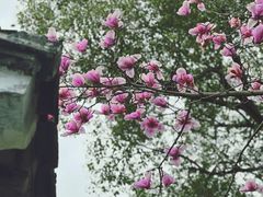 -拙政园