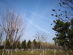 -洨河生态公园