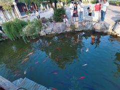 -花洲书院