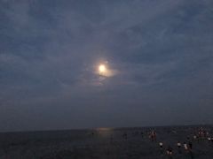 -奉贤海滩