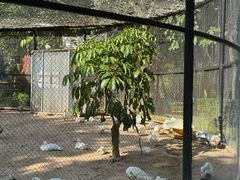 -东南花都花博园