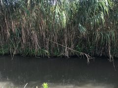 -樂桃源奉贤黄桃种植采摘基地