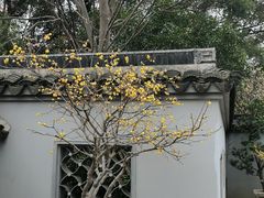 -无锡梅园公园