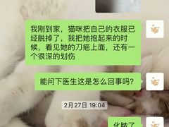 -关爱宠物医院·猫科中心·消化科(滨湖万达分院)