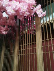 -盘子女人坊生日照·摄影馆(华强店)