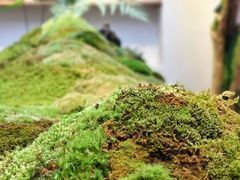 景观位-植觉