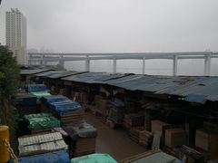 -菜园坝水果市场