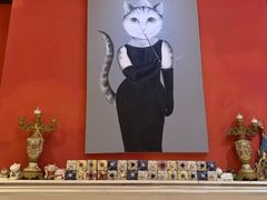 -猫色咖啡·猫咖